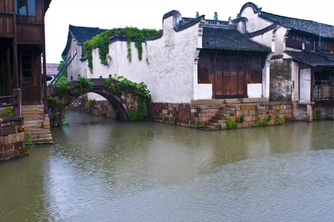 拯救米乐米可